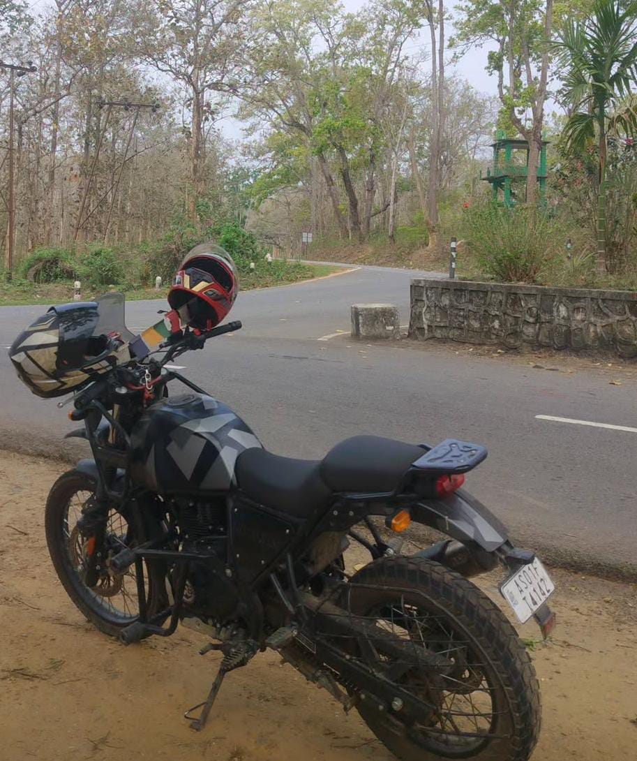 Himalayan Side View